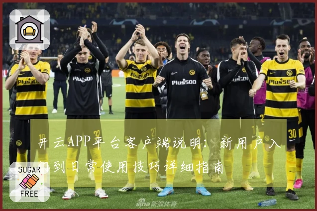 开云APP平台客户端说明：新用户入门到日常使用技巧详细指南
